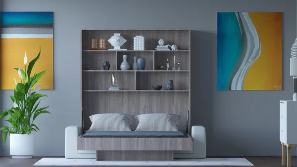 An updated bedroom with a wall bed, bookcase